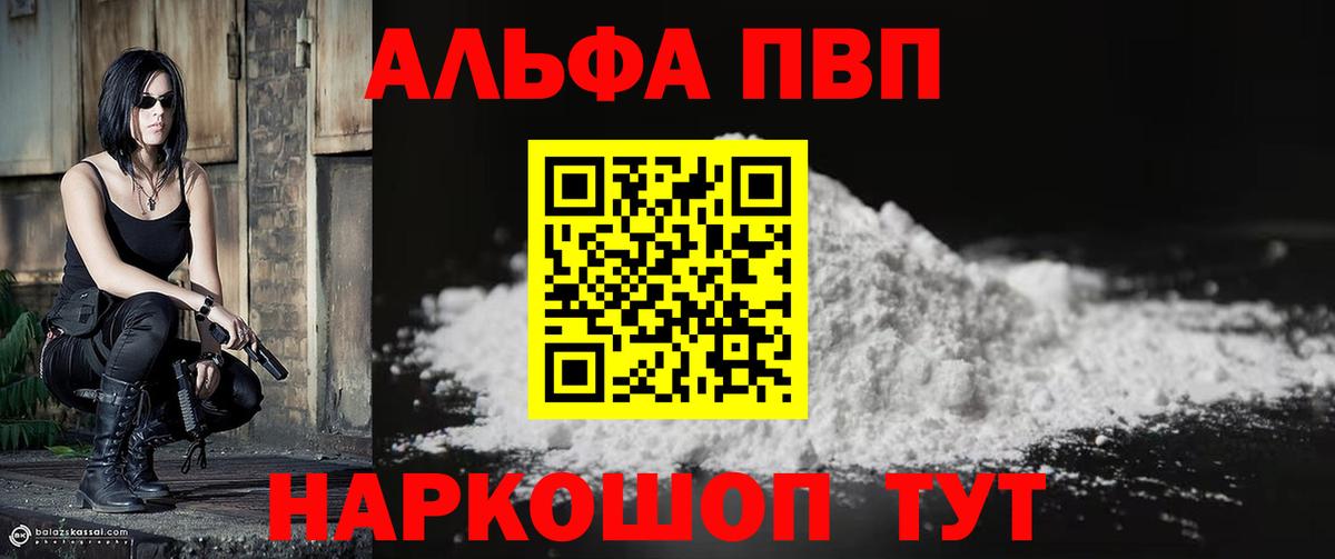 A PVP СК КРИС Нововоронеж