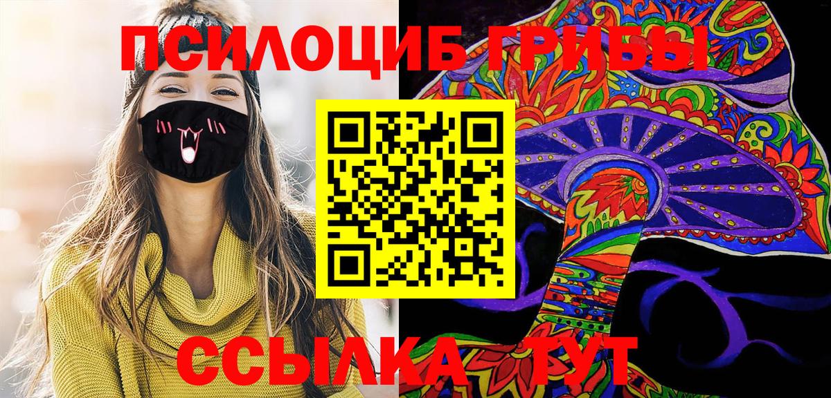 Псилоцибиновые грибы прущие грибы Нововоронеж